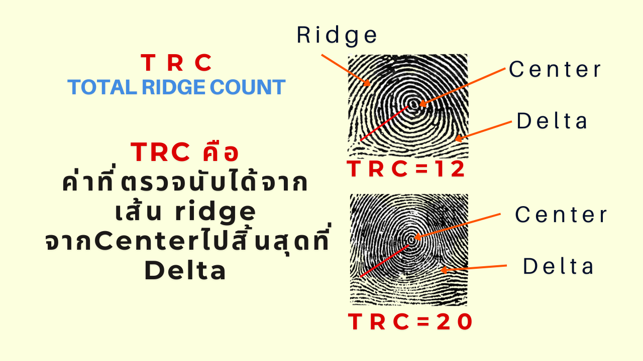 วิธีหาค่า TRCจากลายนิ้ว