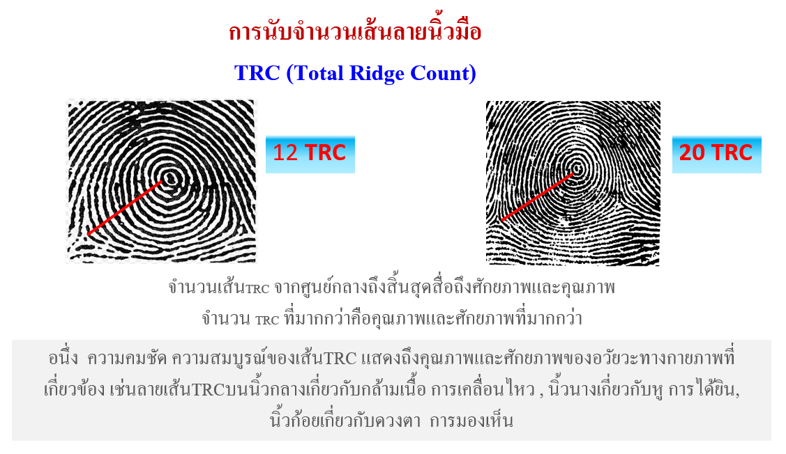 การหาค่า TRC จากลายนิ้ว